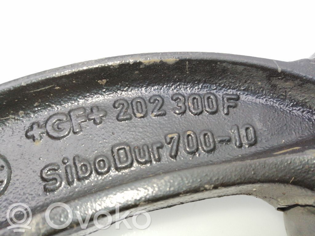 Audi A5 8T 8F Ammortizzatore anteriore 