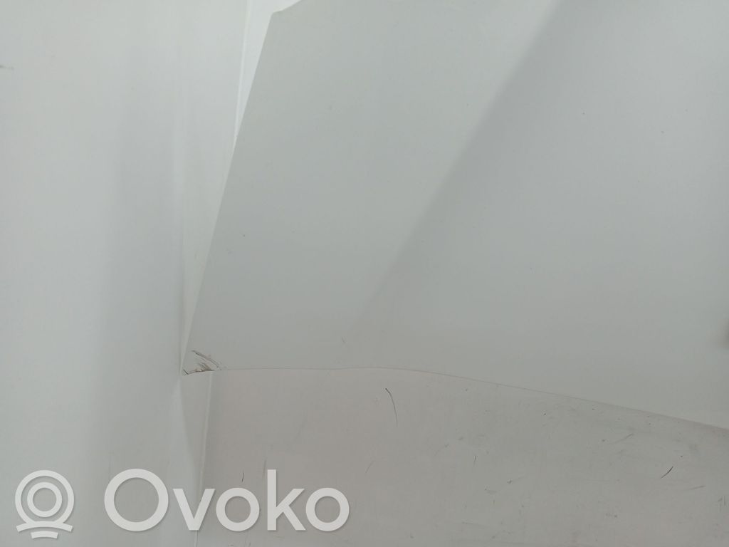 Dzinēja pārsegs (vāks)   7901R1