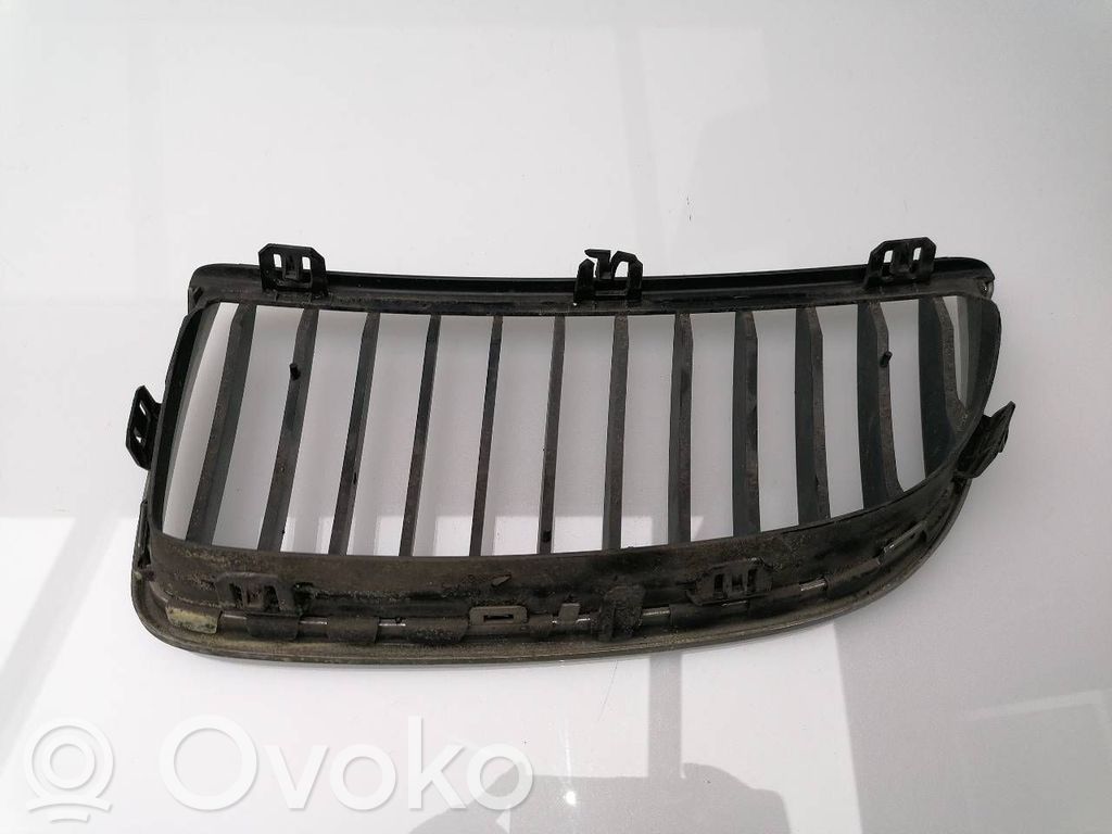 Kühlergrill   22405910