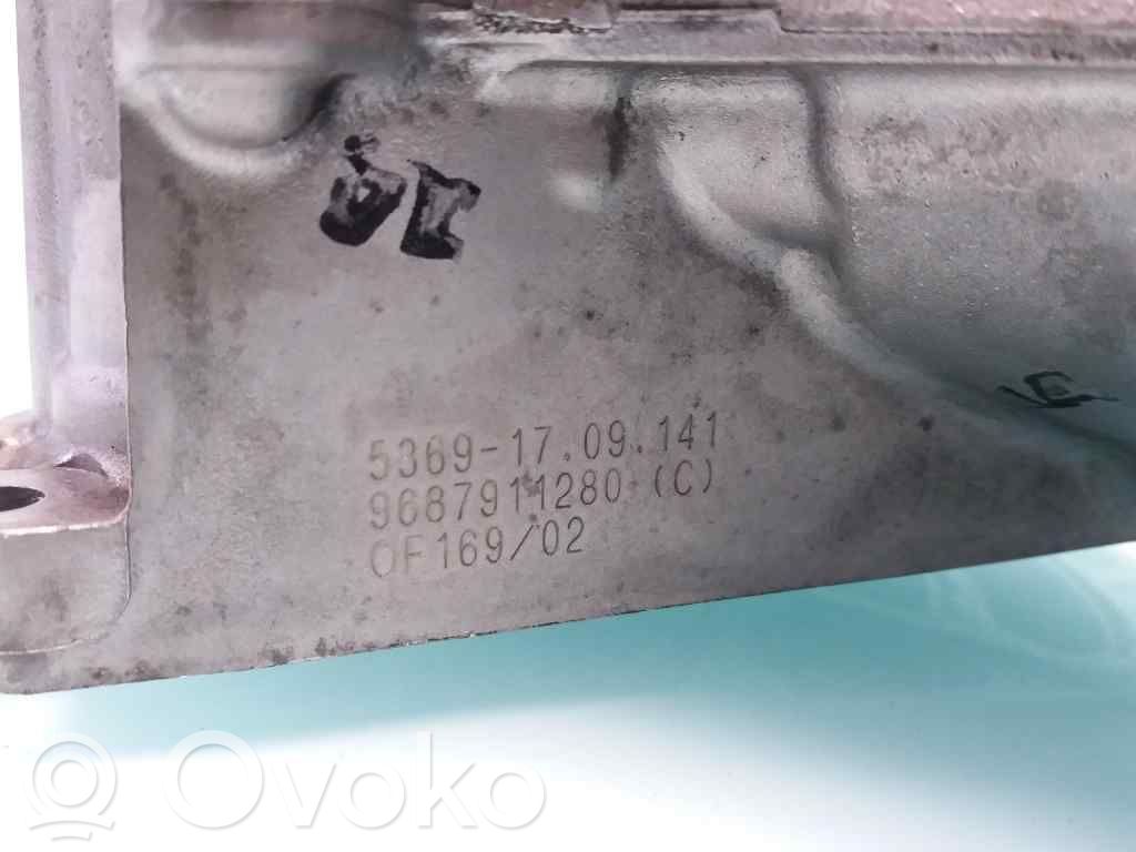 Öljynsuodattimen kannake   53691709141,9687911280