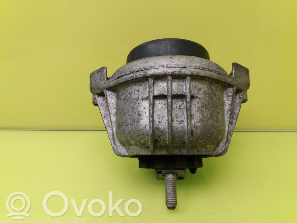 Variklio pagalvė   13981112