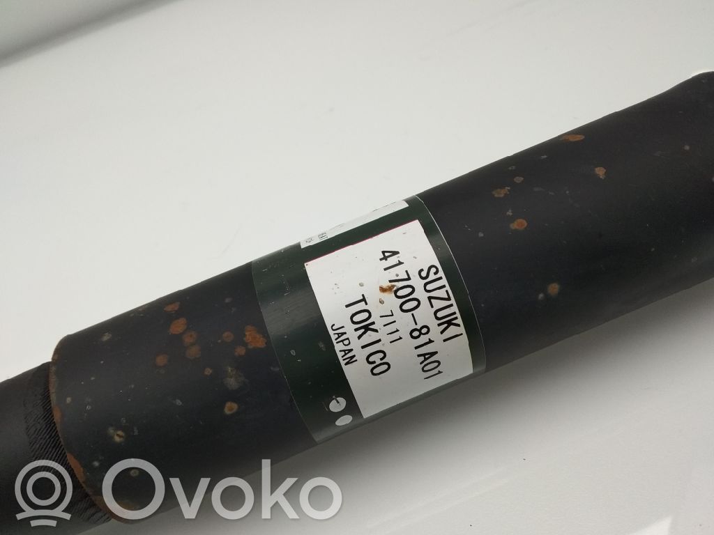 Stoßdämpfer hinten   4170081A01