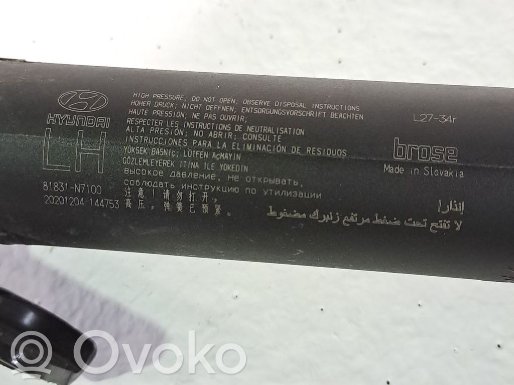 Takaiskunvaimennin   81831N7100