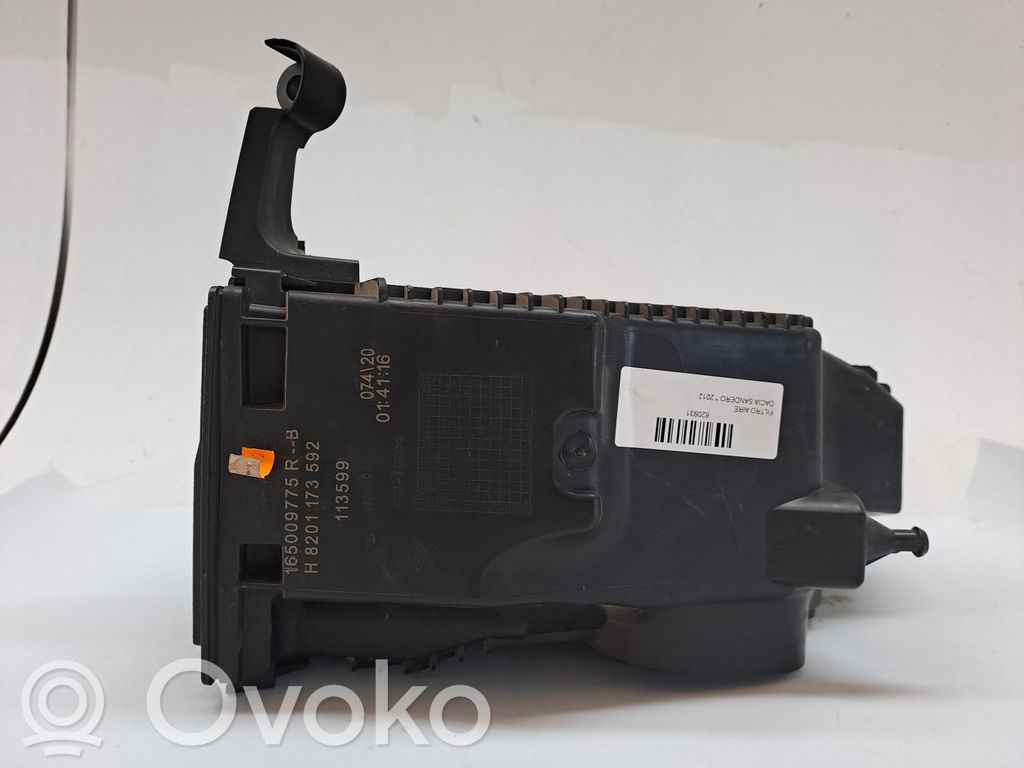 Luftfilter   165009775R