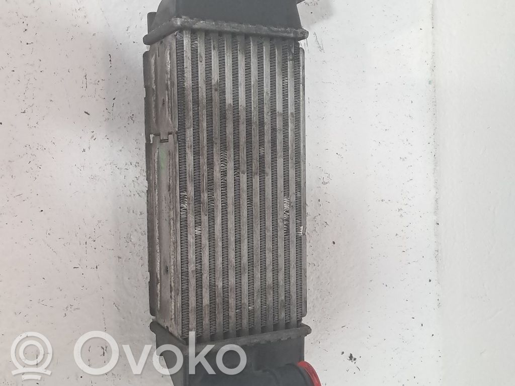 Radiatore intercooler   0384K0