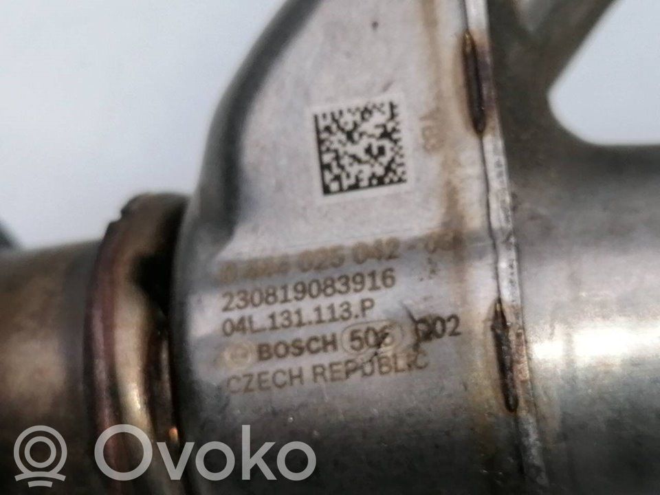 Inyector de combustible   04L131113P