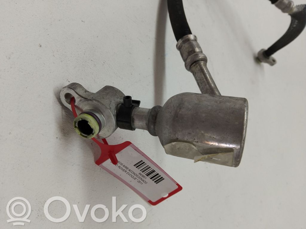 Cuplaj/manșon flexibil A/C   LR039620
