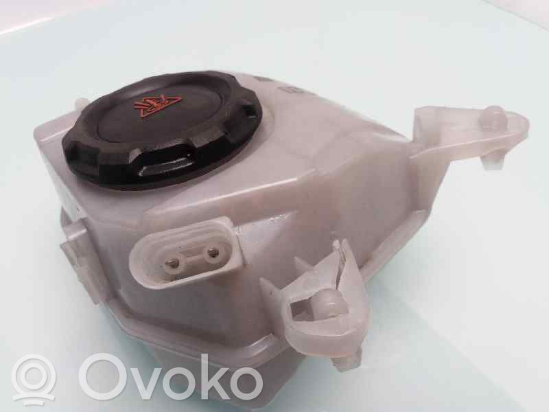 Seat Ibiza IV (6J,6P) Vas expansiune/rezervor lichid de răcire 