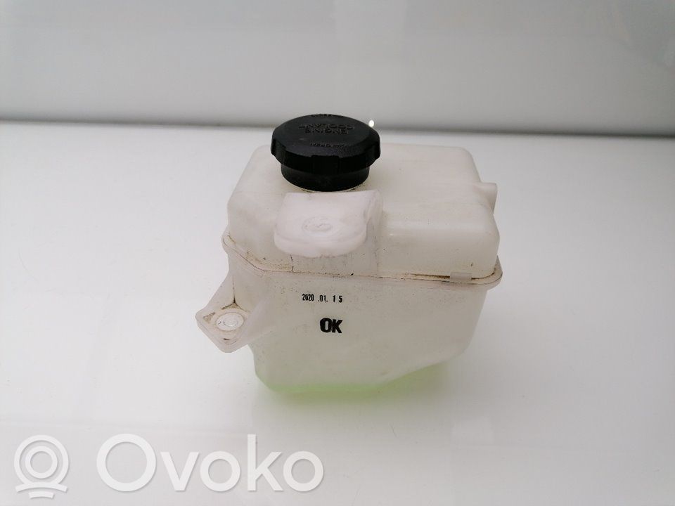 Depósito del refrigerante   25430G6000