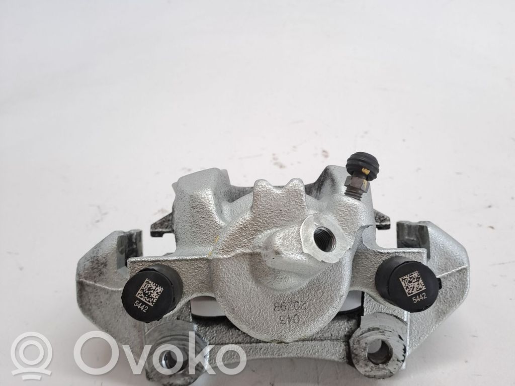 Bremssattel vorne   410011040R