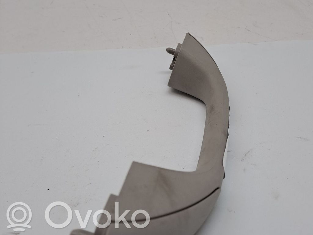 Dacia Sandero Handlauf Dachhimmel 