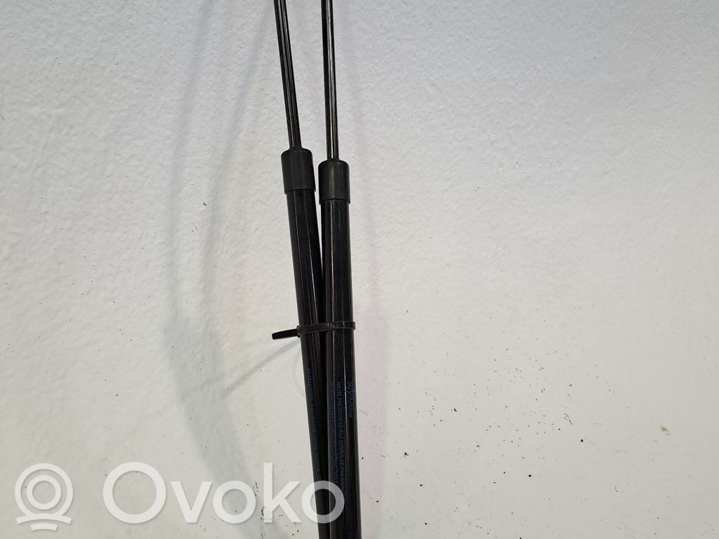 Renault Captur II Ammortizzatore portellone anteriore/cofano