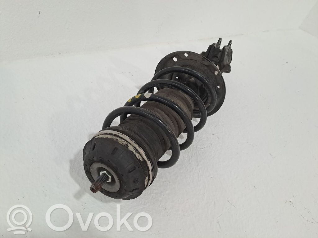 Fiat Punto (199) Amortizor față 