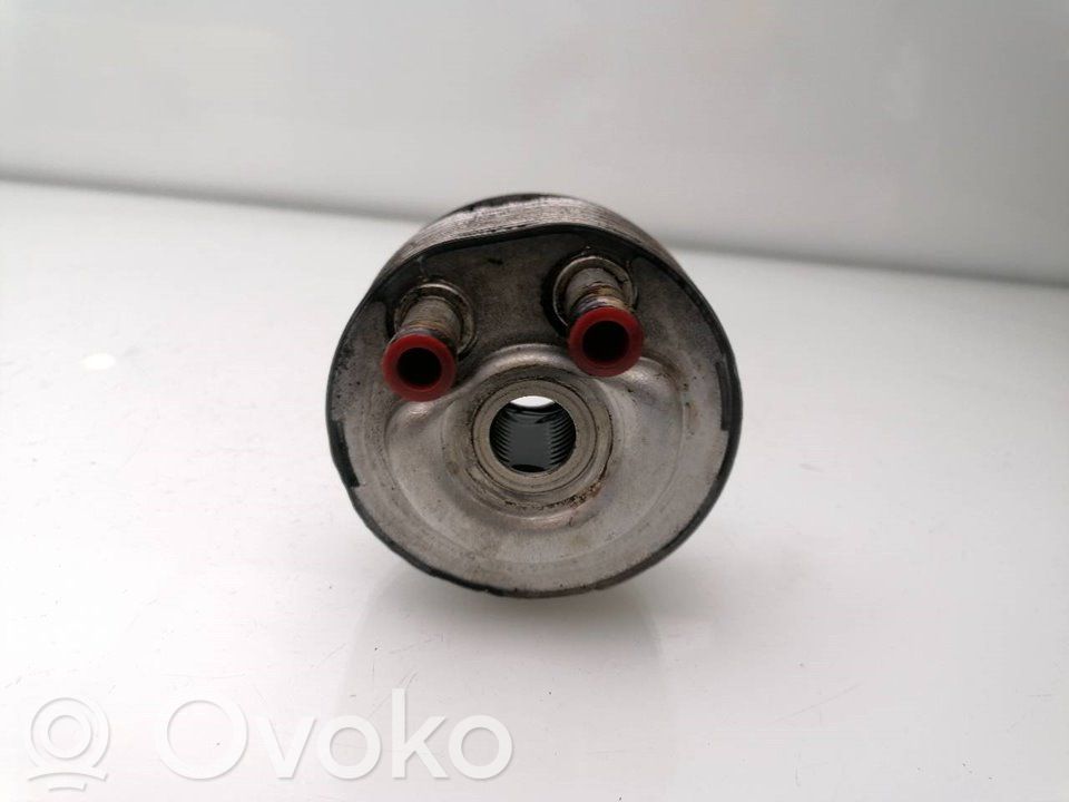 Ölkühler   213055M301