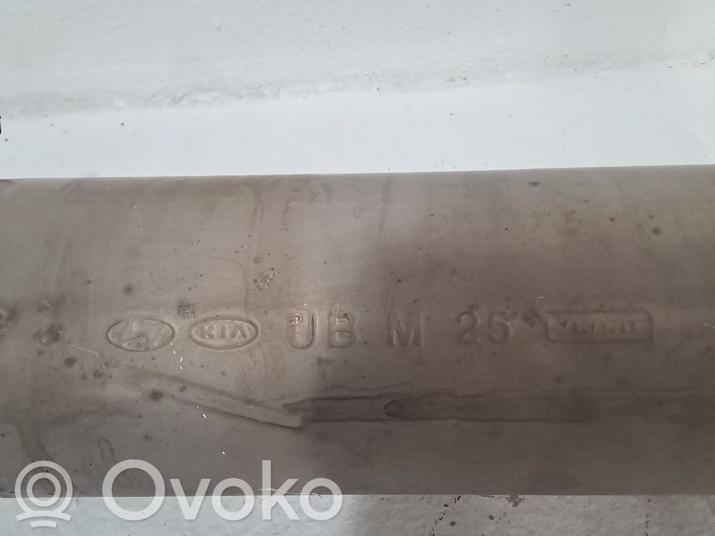 Endtopf Schalldämpfer   287101W250
