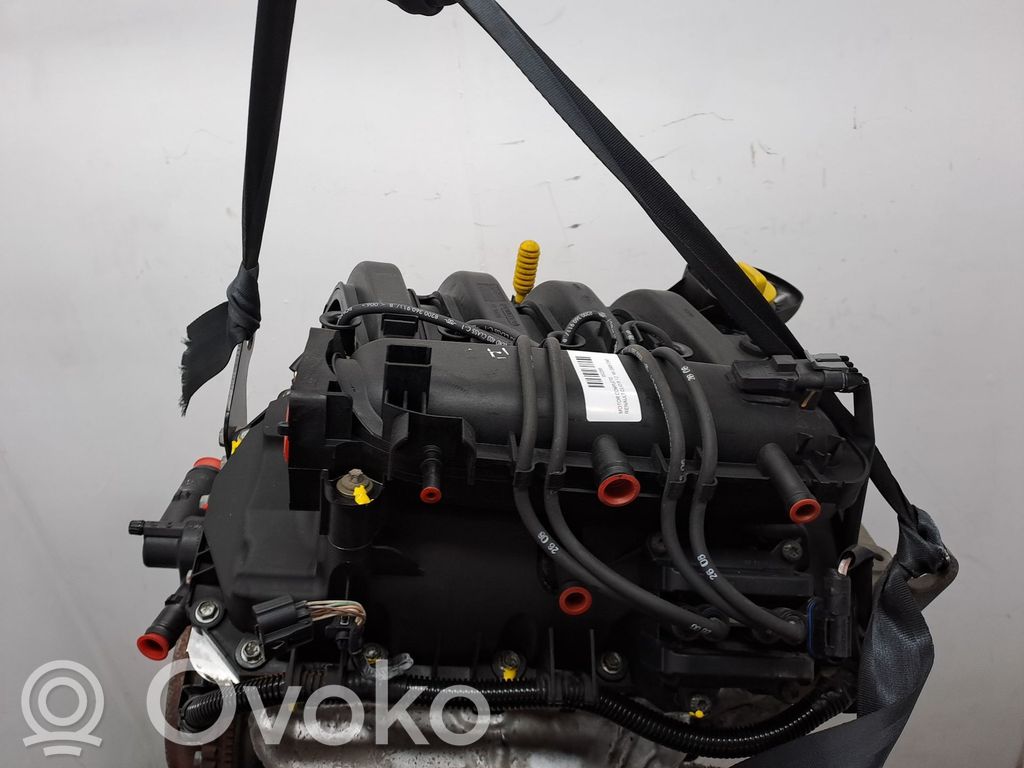 Renault Clio III Austauschmotor 