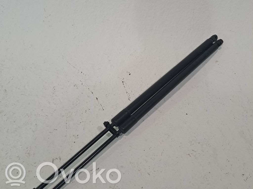 Tailgate/trunk/boot lid buffer   2029377,2029378,DS73N406A10AF