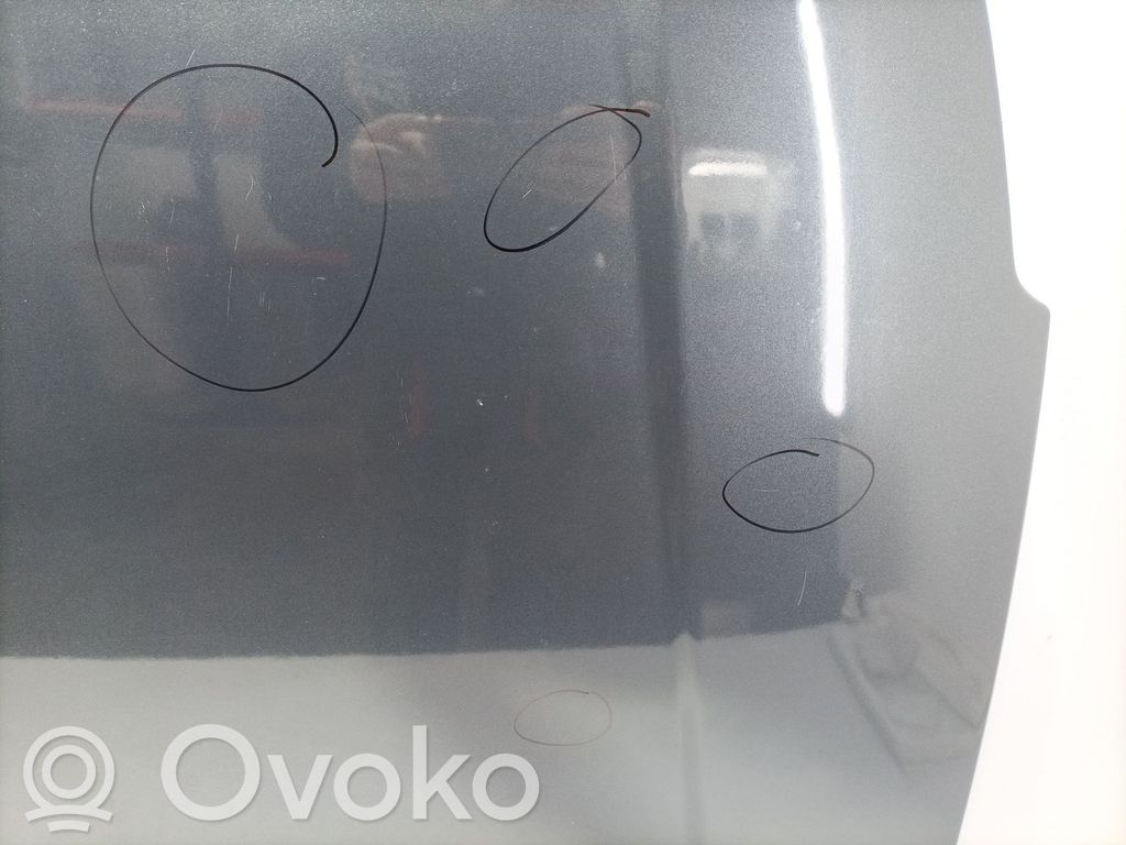 Motorhaube   7901L4