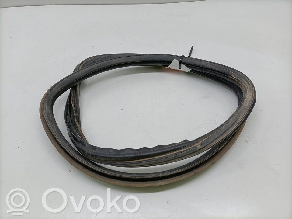 Nissan Terrano Etuoven kumitiiviste 