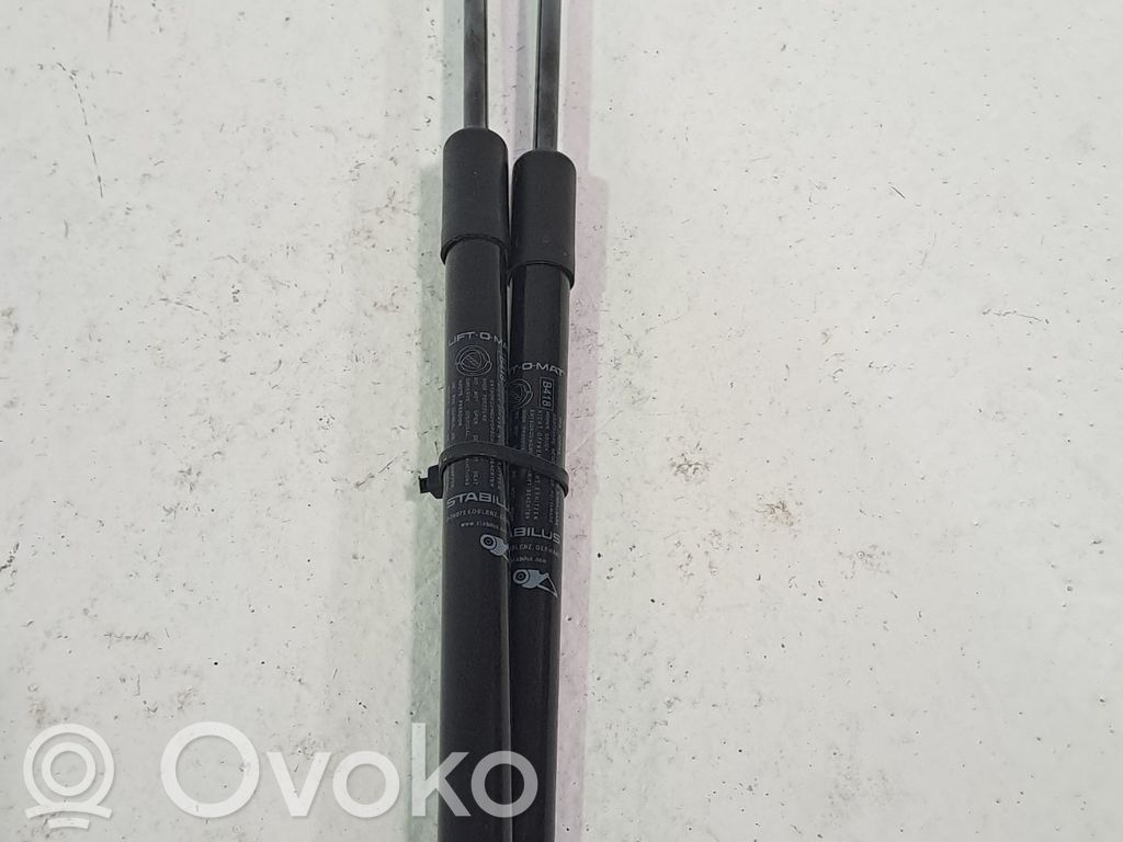 Fiat 500 Tailgate/trunk/boot lid buffer 