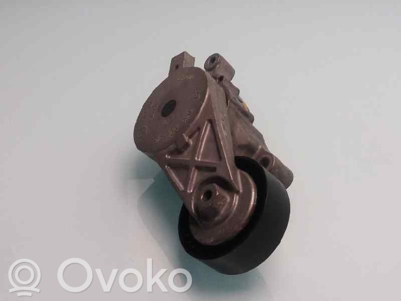 Citroen Xantia Tendicinghia generatore/alternatore
