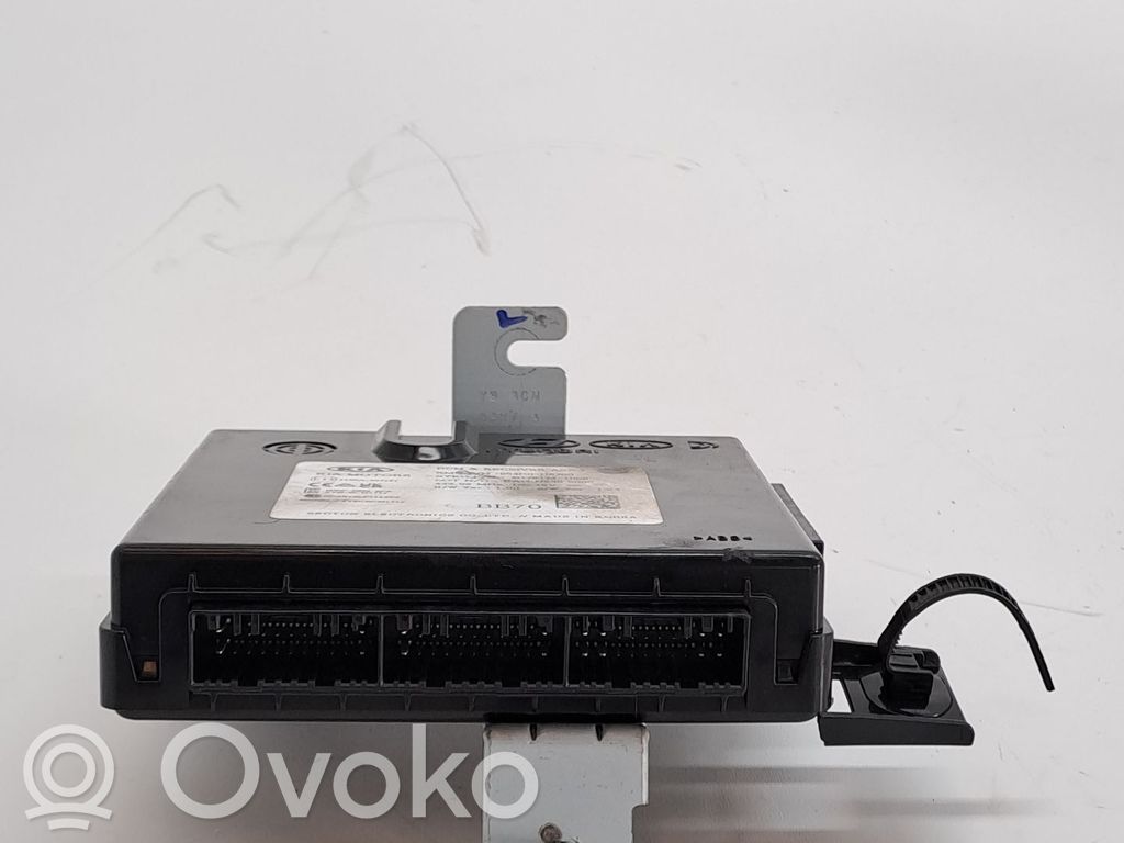 Steuergerät   954B0H8700