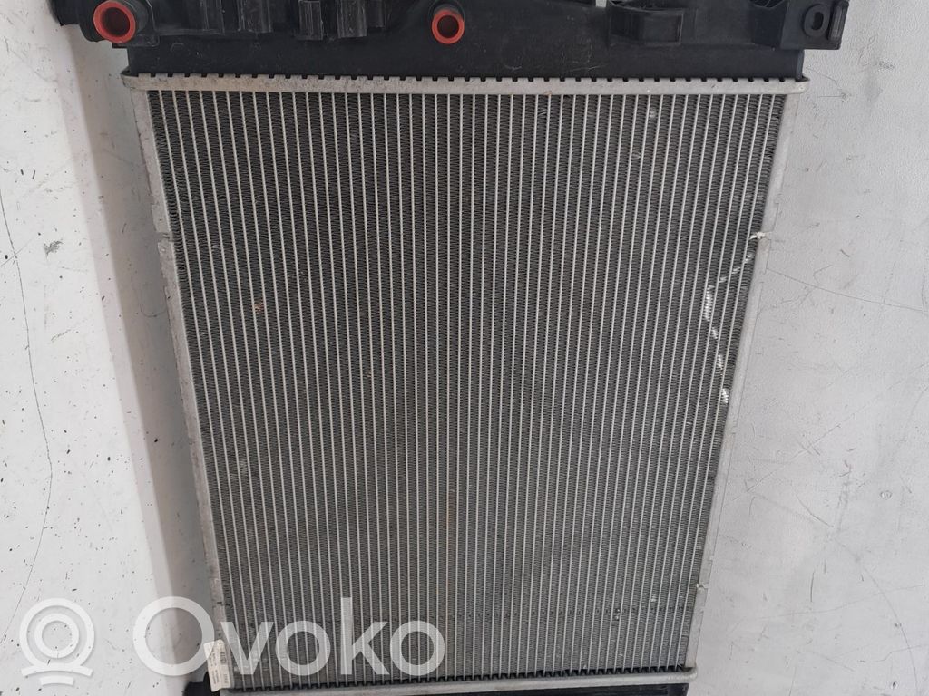 Radiateur de refroidissement   214104950R
