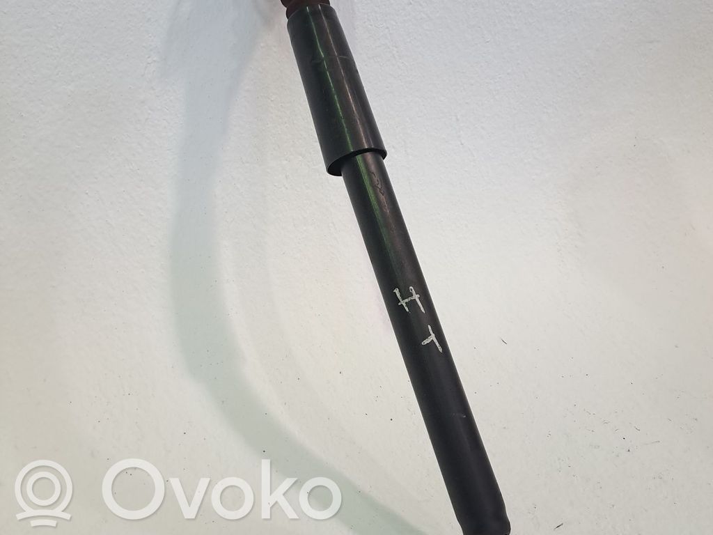 Stoßdämpfer vorne   6R0513025BB