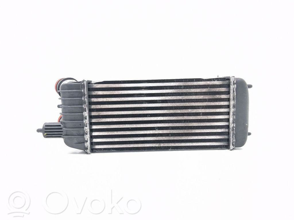 Peugeot Expert Radiatore intercooler 