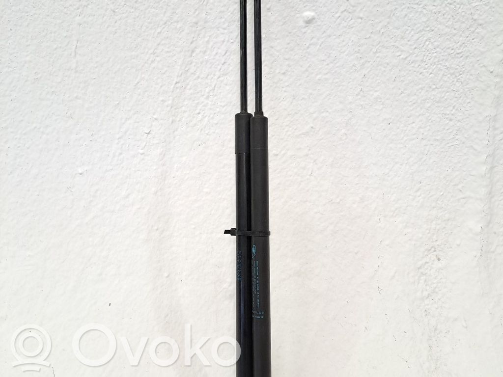 Tailgate/trunk/boot lid buffer   8731N8