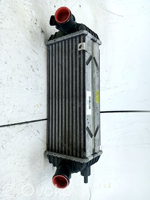 KIA Sportage Radiatore intercooler 