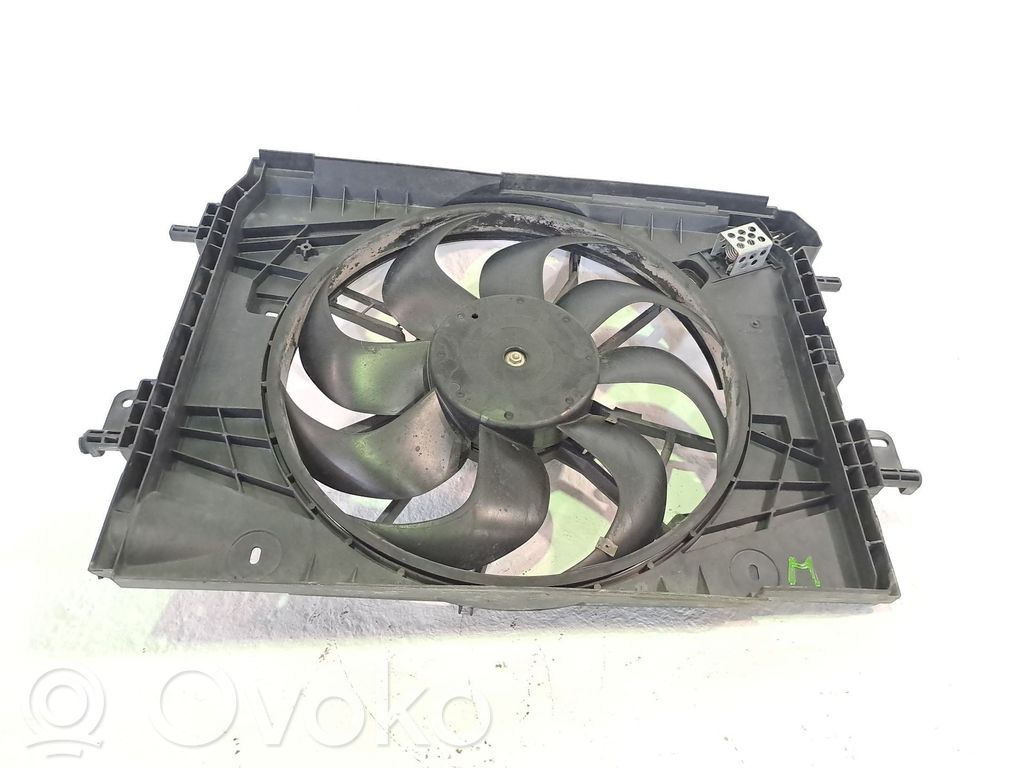 Ventilador de refrigeración   214816812R