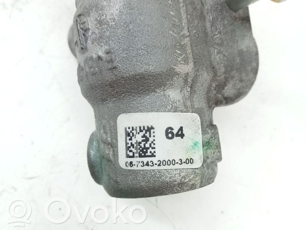 Servo-frein   2434055,E4B12004CC