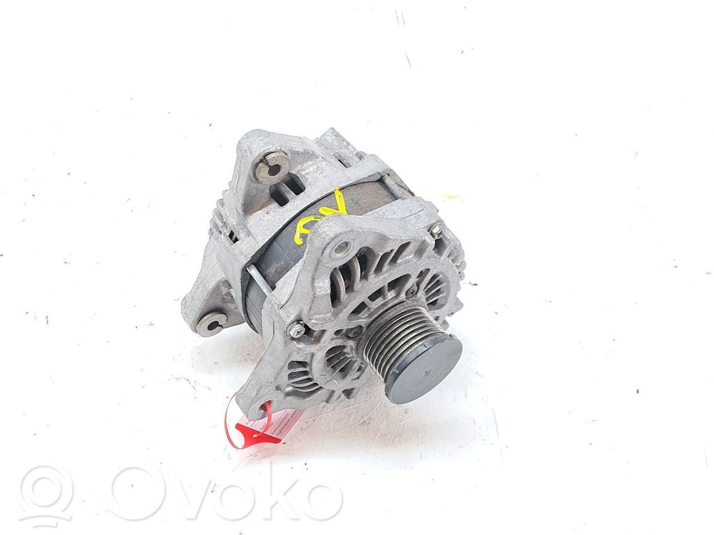 Lichtmaschine   231008137R