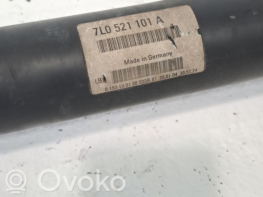 Porsche Cayenne (9PA) Punte față 