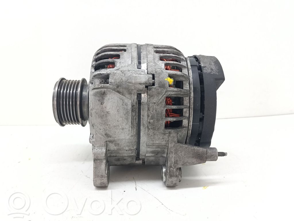 Generatore/alternatore   028903018X