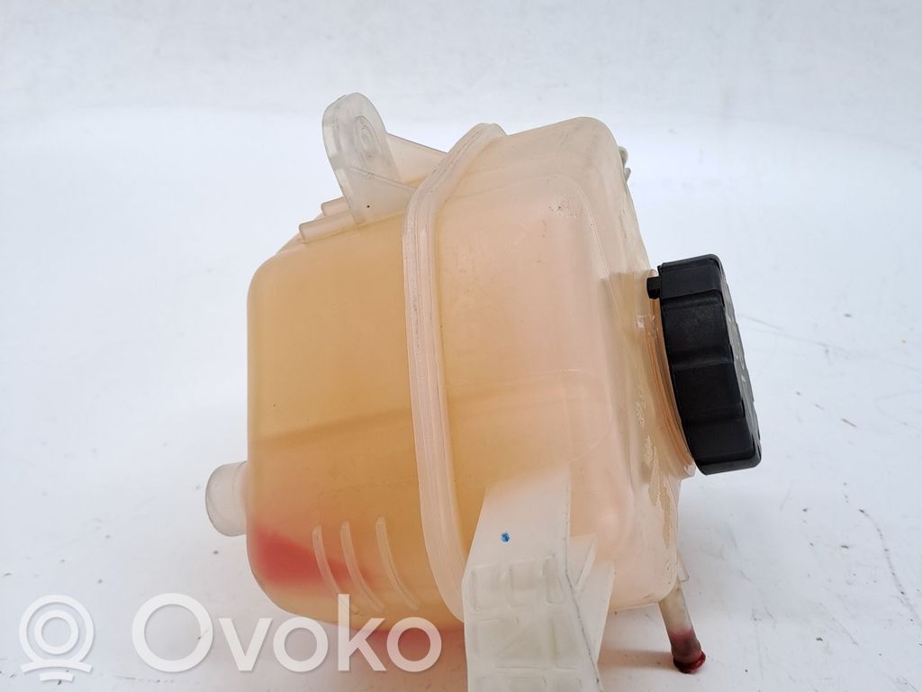 Aušinimo skysčio išsiplėtimo bakelis   10802324