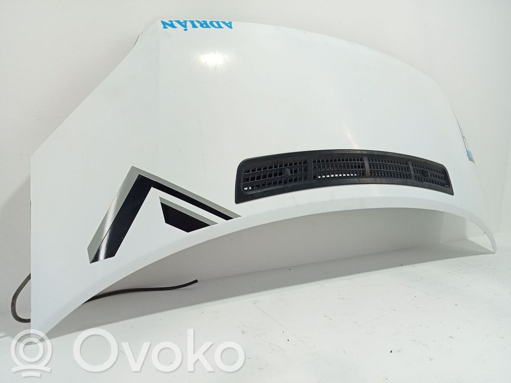 Engine bonnet/hood   2454107,P6C1116612AP
