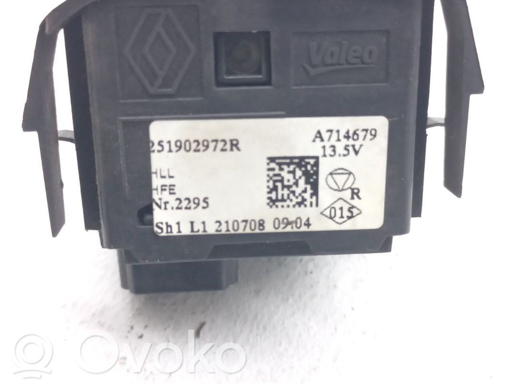 Interruptor de luz   251902972R