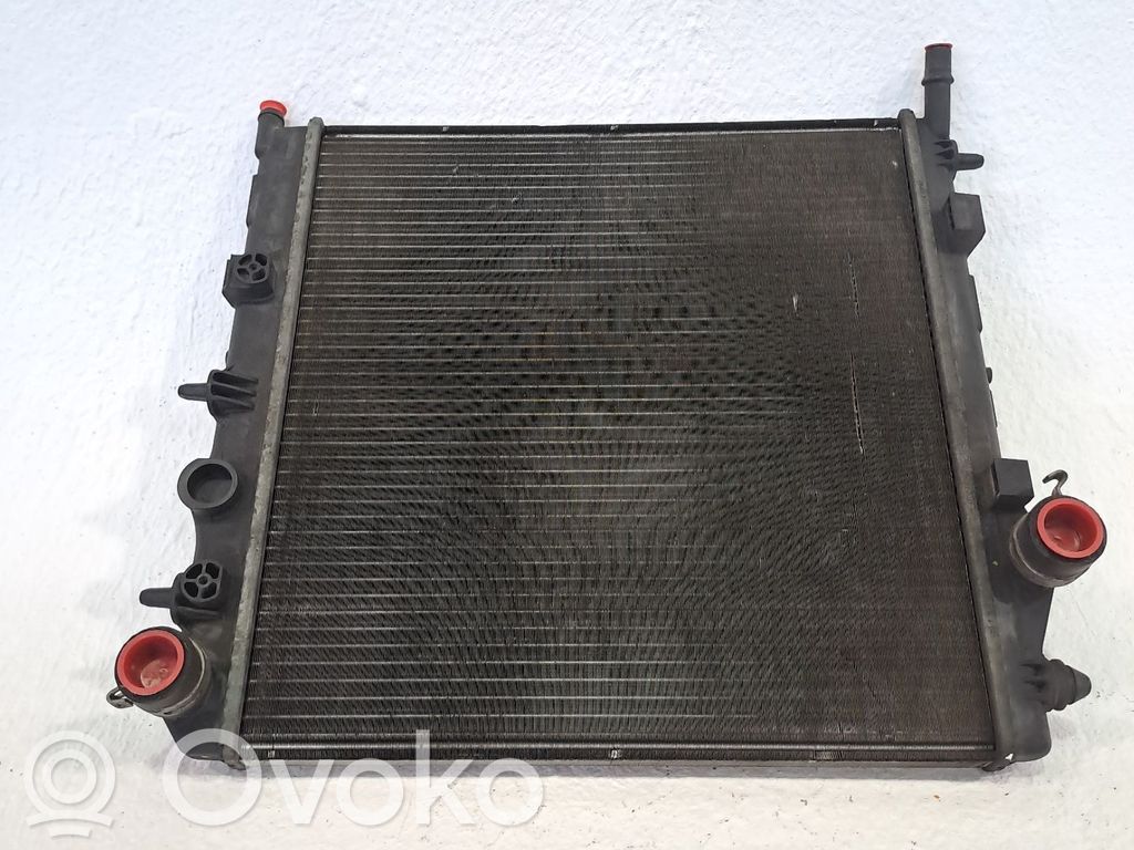 Peugeot 206 Radiator lichid răcire 