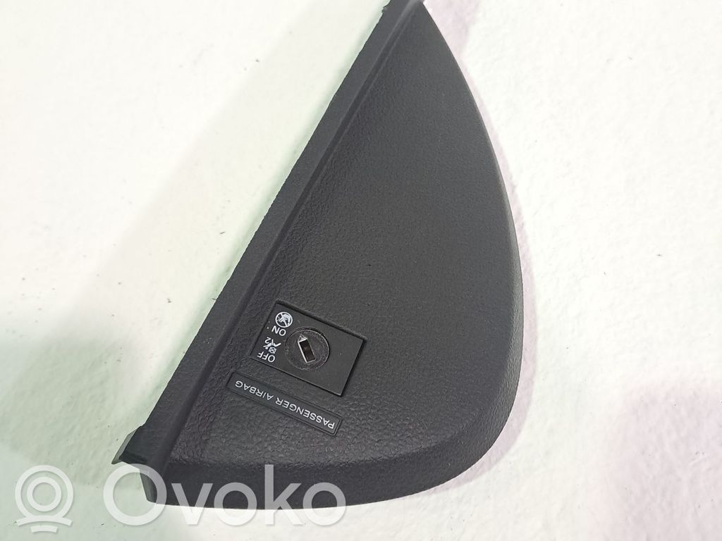 Moldura del panel   10528236OSA