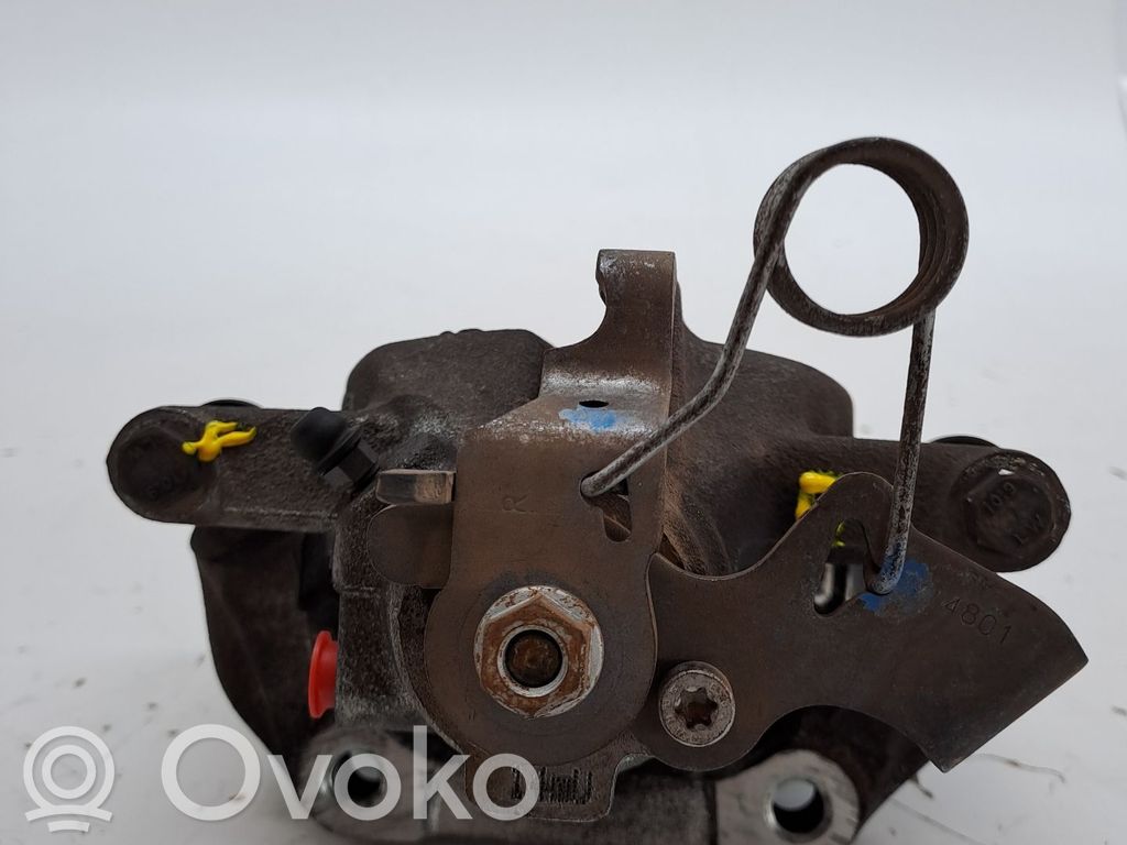 Takajarrusatula   4401L0