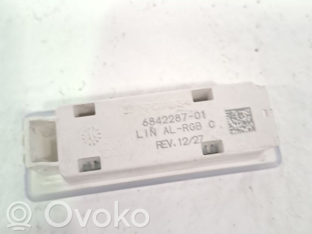 BMW X3 F25 Rivestimento della console di illuminazione installata sul rivestimento del tetto 