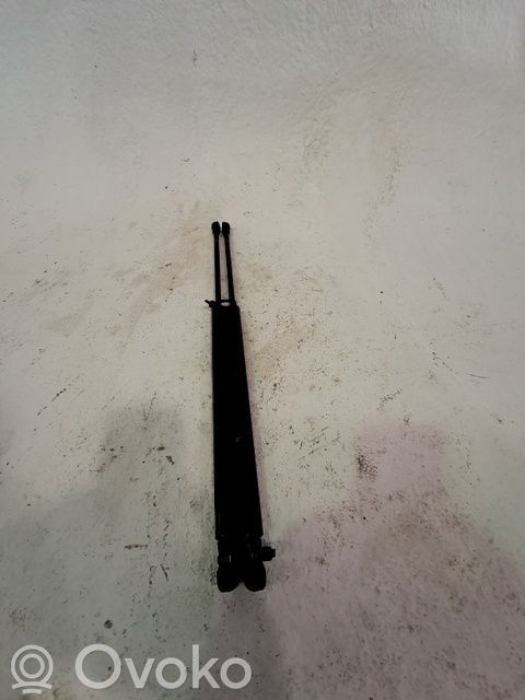 Fiat 500 Tailgate/trunk/boot lid buffer 