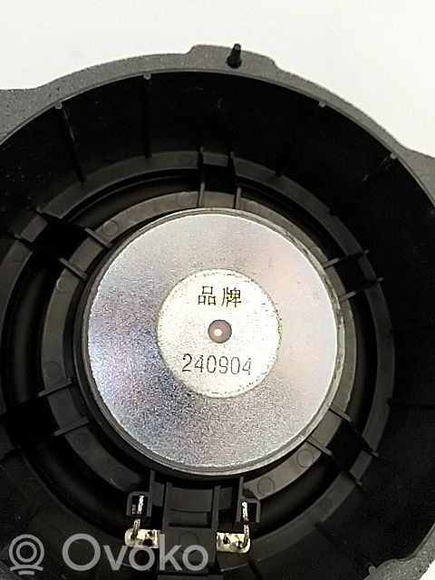 Front door speaker   703000407AA