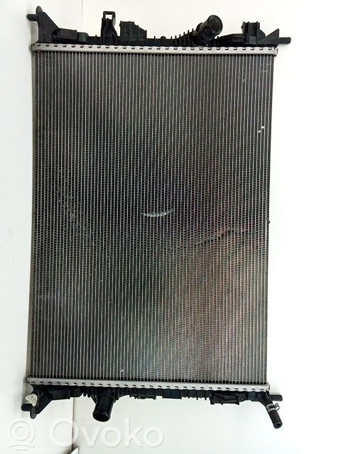 Dzesēšanas šķidruma radiators   2258571,JX618005AD