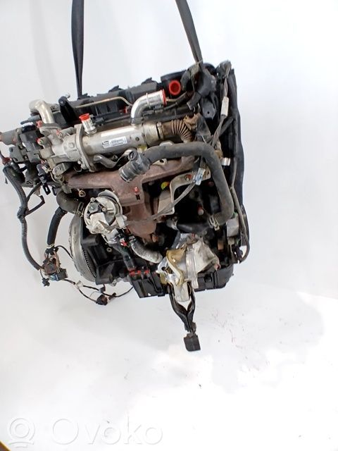 Austauschmotor   RHR,DW10BTED4,0135QG