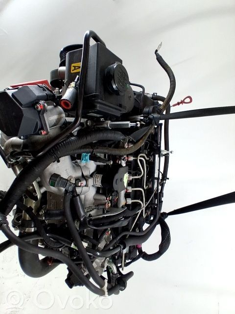 Austauschmotor   D20DTR