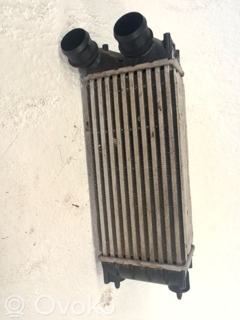 Välijäähdyttimen jäähdytin   0384N9