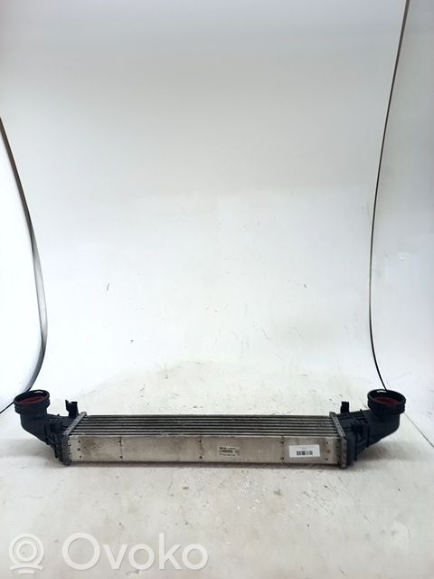 Radiador intercooler   A2115001102